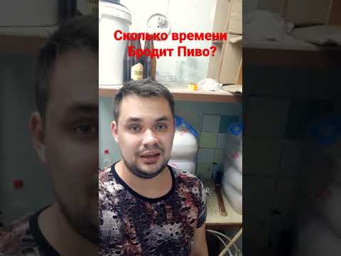 Особливості бродіння пива.