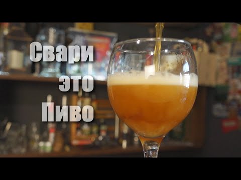 Як приготувати своє перше домашнє пиво