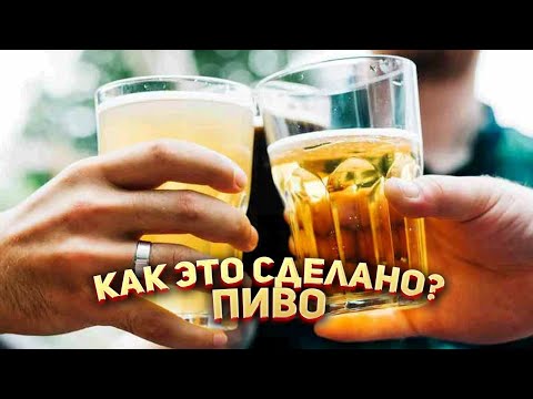 Як зробити пиво 🍺?