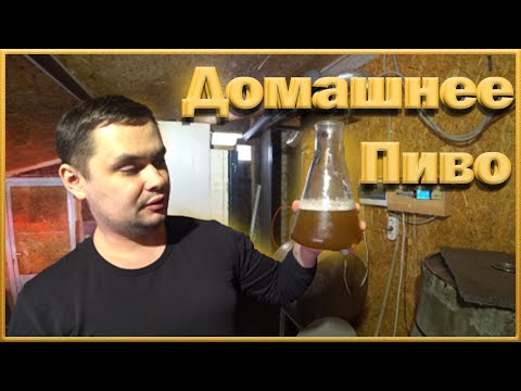 Як приготувати домашнє пиво? Детальні інструкції! 100 л. Домашня пивоварня.