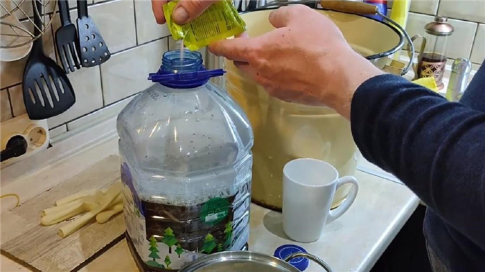 Дріжджі пива розміщені у сусла