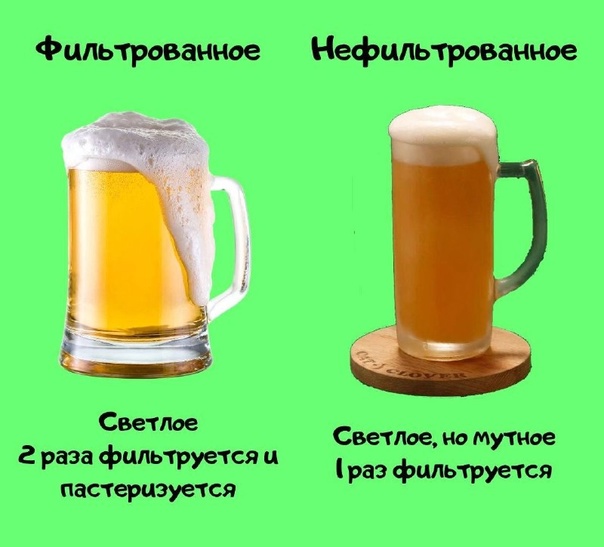 Пиво та пивний напій: у чому різниця – якими ознаками? відрізняються в [2018] між собою та як вибрати | suhoy. guru