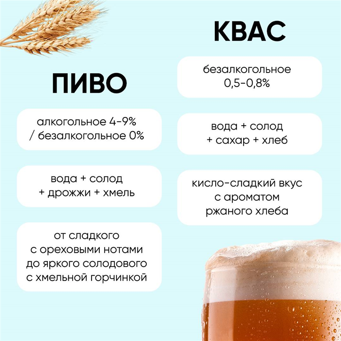 Різниця між квасом та пивом