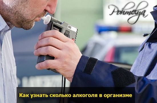 Скільки проміле у пляшці пива і скільки воно вивітрюється