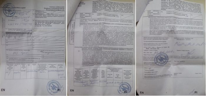 Допомога щодо вакцинації на тваринах