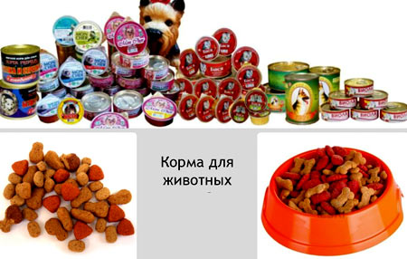 корми для тварин